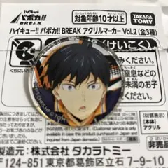 影山飛雄　アクリルマーカー