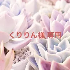 くりりん様 リクエスト 2点 まとめ商品