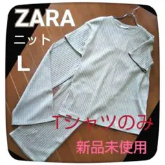 最終値下げ❗️新品未使用／値札付☘️ZARAザラ☘️ベージュラメニットTシャツ