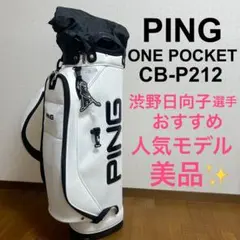 PING ピン CB-C191 キャディバッグ 5分割 9型 ホワイト グレー - メルカリ