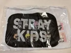 アプグレ特典 Stray Kids SKZOO メッシュポーチ