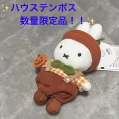 即購入可！ハウステンボス限定　ミッフィー ぬいぐるみ マスコットキーチェーン