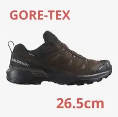 SALOMON X ULTRA 360 LTR GORETEX スニーカー