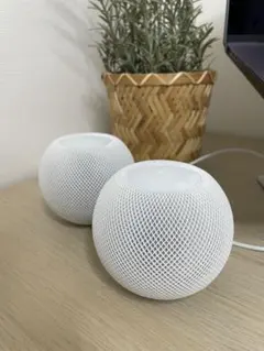 Item thumbnail for item 8398164b-1ce9-4477-87c0-e1a20bfd007c