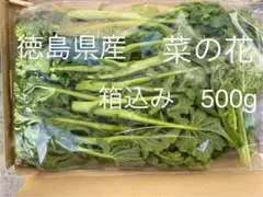 鮭