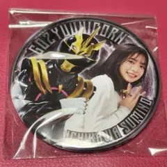 ゴジュウジャー 一河角乃 ゴジュウユニコーン トレーディング缶バッジ ①