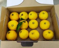 2026年最新】値下げ依頼はコメントから下さいの人気アイテム - メルカリ