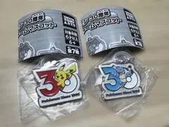 ポケモン 30周年 メタルチャームマスコット