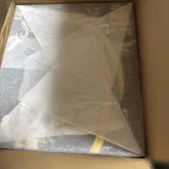 ワンピース ヒストリーオブゾロ〜スペシャルエディション〜 当選品 100体限定 ワンピース ヒストリーオブゾロ〜スペシャルエディション〜 当選品 100