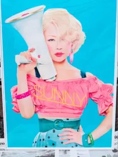 RINGO EXPO 14 ポスター お天道様 年女の逆襲 椎名林檎 - メルカリ