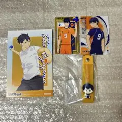 ハイキュー 一番くじ ぽこっとちゃーむ 烏野高校 影山飛雄 水遊び ポストカード
