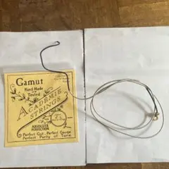 Item thumbnail for item 003753d7-0f1e-4b6a-8c9e-141c031d70b0