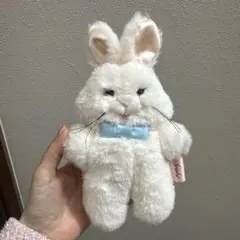 Item thumbnail for item a39a6d07-e271-49d9-ab5b-bb5e779462dc