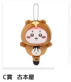 古本屋 たぬきだもんくじ