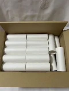 Item thumbnail for item 915102e8-b1f4-40c0-8952-333804f0dbc6