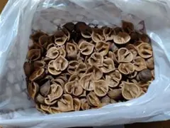 うーちゃん様 リクエスト 2点 まとめ商品