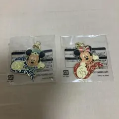 ミッキー ミニー 35周年記念チャームキーホルダーセットディズニーランド新品