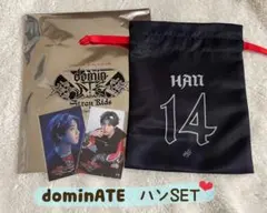 2026年最新】StrayKids dominate ハンの人気アイテム - メルカリ