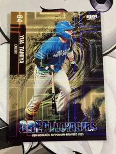田宮裕涼 bbm 2025 日本ハムファイターズ レギュラーパラレル