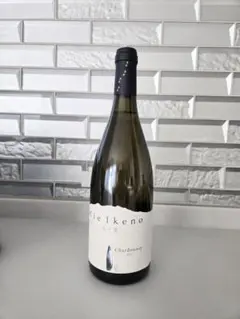 2026年最新】ドメーヌミエイケノの人気アイテム - メルカリ