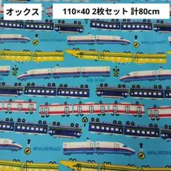 電車プリント 綿生地 110×40cm 2枚セット