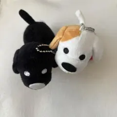 matsui クリエイター　犬　ドッグ　ぬいぐるみキーホルダー　ガチャガチャ