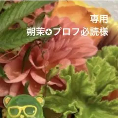 専用ページ 朔茉✪プロフ必読様7/1