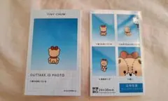 サンリオ 証明写真風スマロイド タイニーチャム