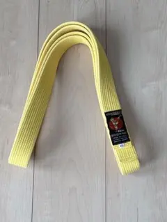 Item thumbnail for item 638386c2-1f96-41b6-afda-f2ddeafec32b