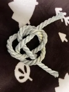 Item thumbnail for item 26f3ce54-fbf5-46f9-9d5f-dc0f07321885