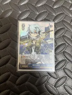 静かな闘志シノンsp