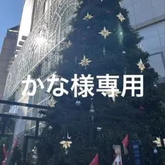 かな様専用