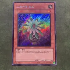 2026年最新】遊戯王 韓国 evの人気アイテム - メルカリ