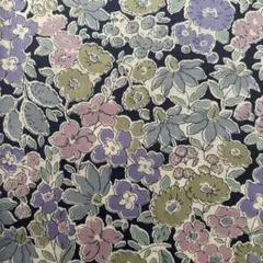 Item thumbnail for item 54342afd-9bd2-42eb-aa83-2e517d13062e