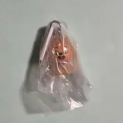 skzoo ハンクオッカ めじるしアクセサリー ハン ジソン