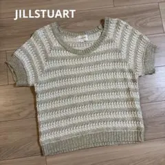 最終値下げ　JILL STUART 半袖ニット セーター FRのサムネイル