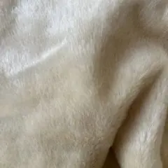 Item thumbnail for item d1c3bc0a-5e8e-48dd-ba5b-cf820a4967bc