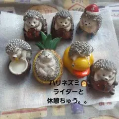 ハリネズミ　置物　フィギュア　セット