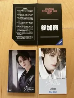 Straykids リノ　サンシャインサカエ　FCくじ