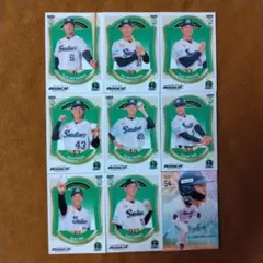 BBM ルーキーエディション 2026 ヤクルト 全9種 コンプ