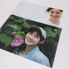 乃木坂46川崎桜 1st写真集ポストカード&応募券 - メルカリ