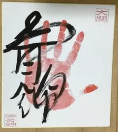 大関 安青錦関 サイン手形 - メルカリ