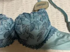 Item thumbnail for item ea8b6898-030a-46b1-ad01-0040db57a0b5