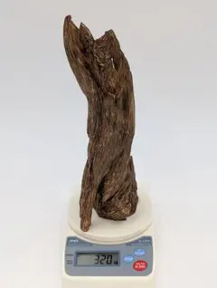 Item thumbnail for item dd4fab44-1d2d-4329-a78a-00ab110372e1