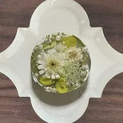 keipyon様 リクエスト 2点 まとめ商品