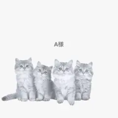 Asama