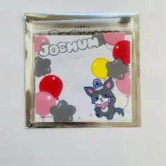 JOCHUM ランダムスライダーポーチ チュララ ジェオチャム　マツキヨ