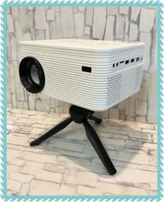 Item thumbnail for item 8df52da7-0a30-45a3-a13b-ceb9a48a26c8