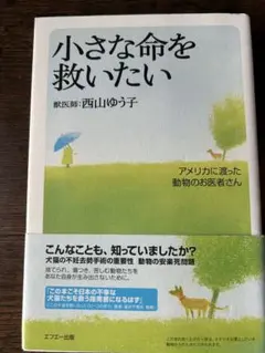 Item thumbnail for item 9c83c7ff-10e9-49b1-8c05-161cfbd101d1