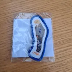 VAUNDY ワッペンシール